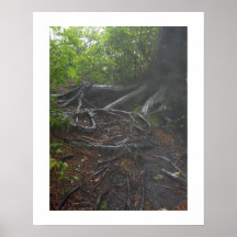 Roots at the Appalachian Trail Poster