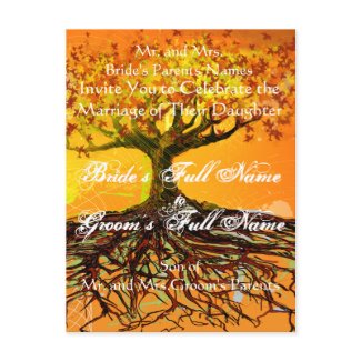 Roots of Love postcard