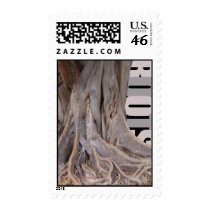 Roots postage