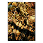 Roots run deep Card cards