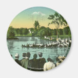 Rope Pull, Campus Pond Magnets