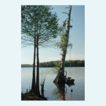 Rope Swing on the Suwannee River Print posters