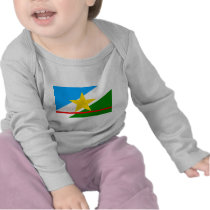 Roraima, Brazil Flag t-shirts by Vexillophile Roraima, Brazil Flag t-shirts