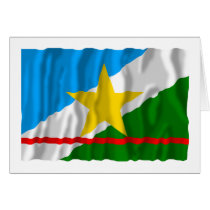 Roraima, Brazil Waving Flag cards