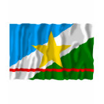 Roraima, Brazil Waving Flag Tshirt