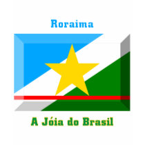 Roraima Flag Gem t-shirts