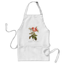 Rosa Centifolia Foliacea Apron