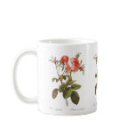 Rosa Centifolia Foliacea mugs
