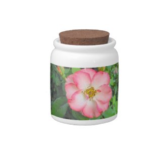 Rosa Eglanteria Candy Jar candyjar