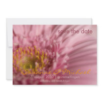 Rosa Gerbera • Save the Date Karte invitations by SabineStGreetings Rosa Gerbera • Save the Date Karte invitations