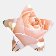 rosa.jpg sticker