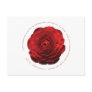 "Rosa" Red Rose Inspirational Postcard