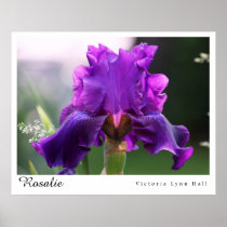 "Rosalie" Iris Photography Poster