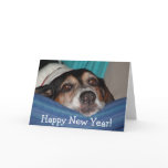 roscoe_newyear, Happy New Year! Greeting Card