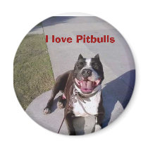 Roscoe's class, I love Pitbulls magnets