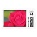 rose3 postage