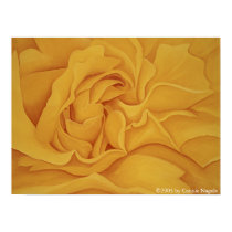 Rose #15 Poster posters by cnag4892 Rose #15 Poster posters
