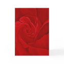 Rose #16 Greeting Card by cnag4892 Rose #16 Greeting Card