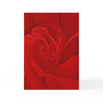Rose #16 Greeting Card by cnag4892 Rose #16 Greeting Card