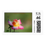 Rose 1 stamps