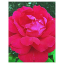Rose#2 flyers