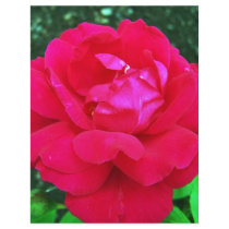 Rose#2 letterhead