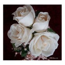 Rose 2 posters