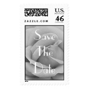 rose 2 x 2 black and white, Save The Date stamp