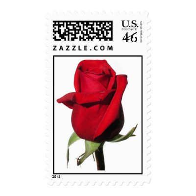 rose-72 postage stamp