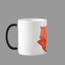 Rose After a Morning Shower Morphing Mug mugs
