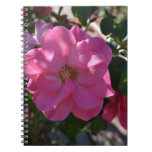 Rose Along the Path Notebook