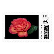 Rose - Amanda postage by bkang22 Rose - Amanda postage