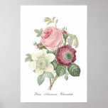 Rose and Anemone Poster posters