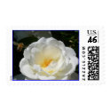 Rose and Bee Stamp by jhgallina Rose and Bee Stamp