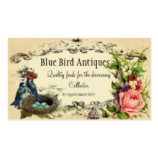Rose and Blue Jay Buisness or Introduction Card profilecard