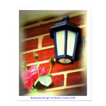 Rose and Lantern Poster posters