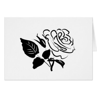 white rose drawing. Rose and Leaves Sketch Card by