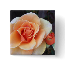 Rose and Rosebud Buttons