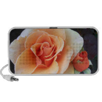 Rose and Rosebud Speaker