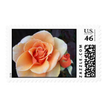 Rose and Rosebud Stamps