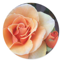 Rose and Rosebud Stickers