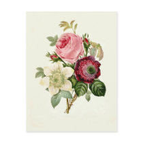Rose,Anemone and Clematis by Pierre-Joseph Redouté Post Cards