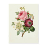 botanical, print, flora, garden, wild, flower,