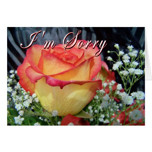 Rose Apology Greeting Card Zazzle