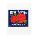 Rose Apples Wenatchee Washington Postcards
