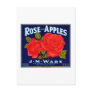 Rose Apples Wenatchee Washington Postcards