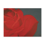 Rose Art by Pryor Postcard