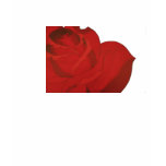 Rose Art Ladies Shirt Rose Art Ladies Shirt