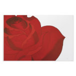 Rose Art Stationery Rose Art Stationery