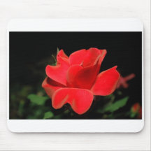 rose at night mouse mats